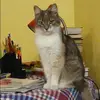 Отзыв от Ева Гусева